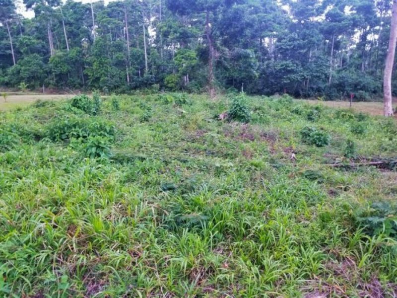 Foto Terreno en Venta en Guapiles, Pococí, Limón - U$D 29.300 - TEV38103 - BienesOnLine