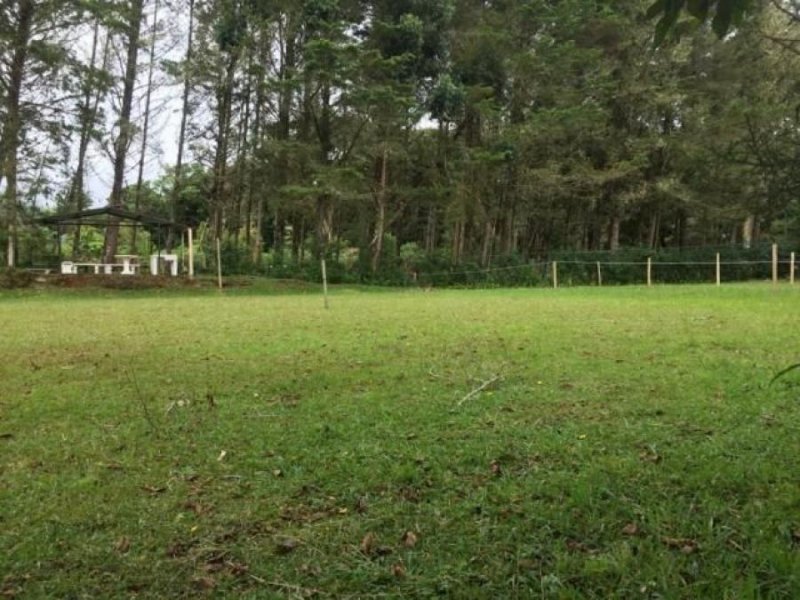 Foto Terreno en Venta en DotaDelJardin, Dota, San José - ¢ 14.000.000 - TEV36251 - BienesOnLine