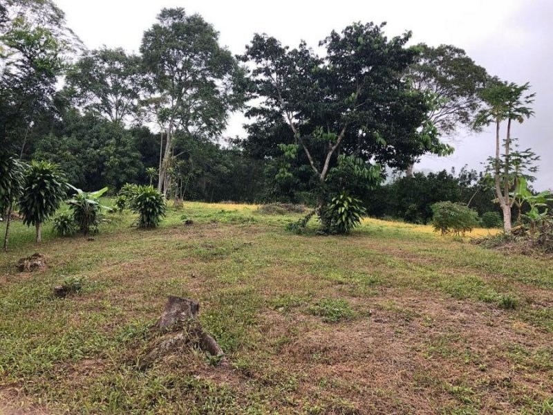 Foto Terreno en Venta en Atenas de Alajuela, Atenas, Alajuela - ¢ 70.000.000 - TEV58069 - BienesOnLine