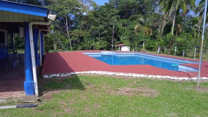 Terreno en Venta en  Siquirres, Limón