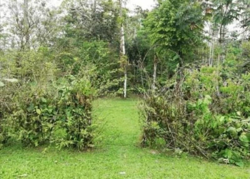 Foto Terreno en Venta en Sarapiquí, Heredia - ¢ 18.000.000 - TEV74538 - BienesOnLine