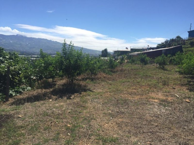 Terreno en Venta en Tobosi de Cartago Tobosi, Cartago