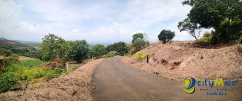 Foto Terreno en Venta en Grecia de Alajuela, Grecia, Alajuela - ¢ 58.000.000 - TEV58271 - BienesOnLine