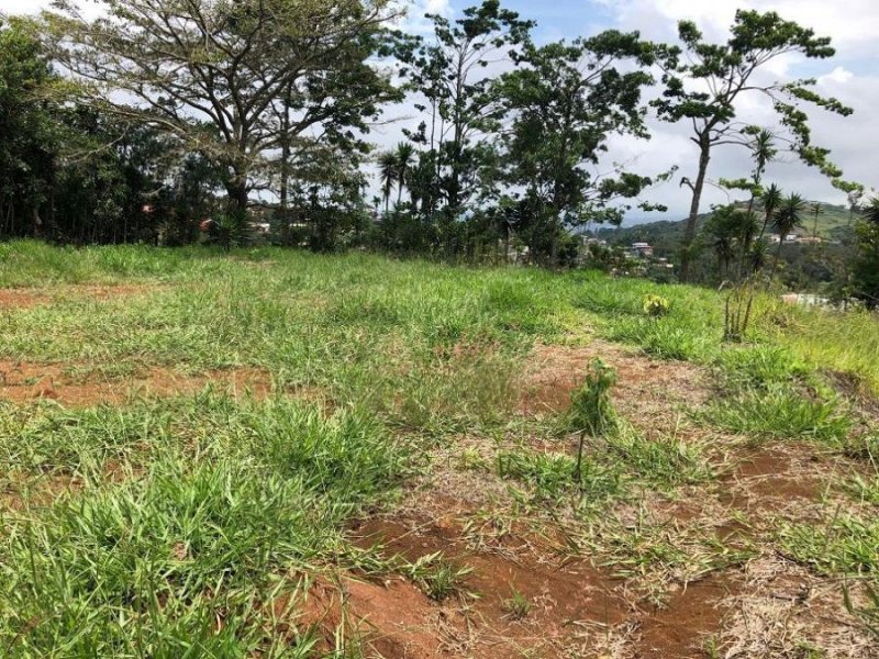 Foto Terreno en Venta en San Pedro de San Ramón de Alajuela, San Ramón, Alajuela - ¢ 45.000.000 - TEV58072 - BienesOnLine