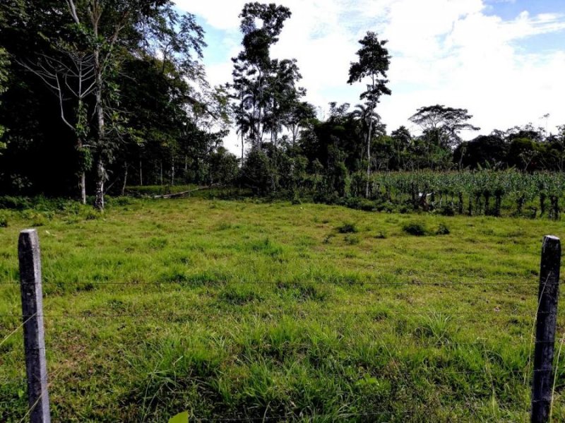 Terreno en Venta en Jimenez Guácimo, Limón