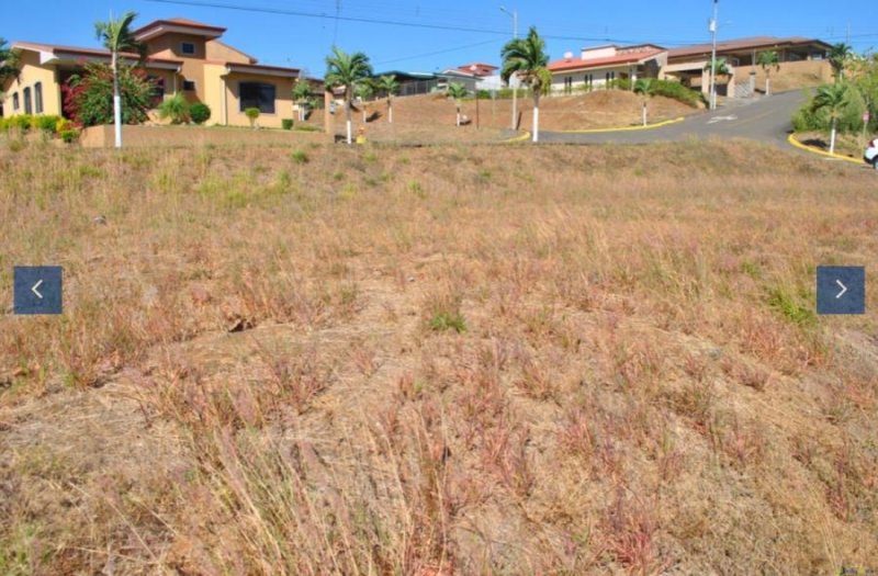 Foto Terreno en Venta en Grecia, Alajuela - U$D 50.000 - TEV17529 - BienesOnLine