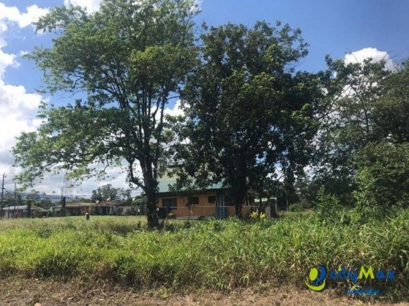 Foto Terreno en Venta en Guápiles, Limón - ¢ 17.000.000 - TEV17515 - BienesOnLine