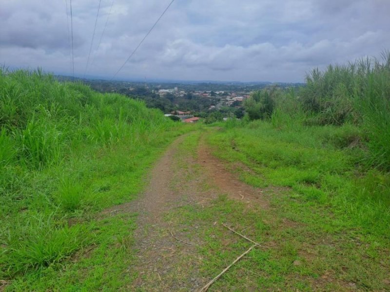 Finca en Venta en Sarchi Valverde Vega, Alajuela