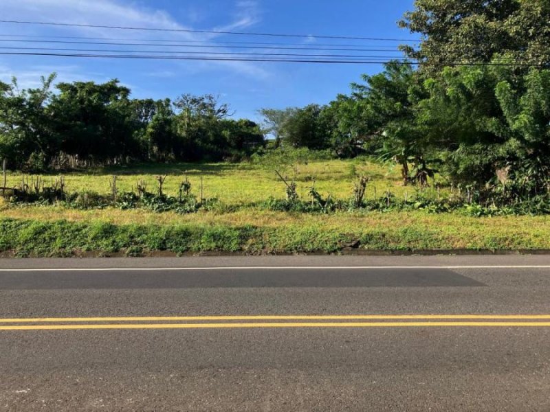 Foto Terreno en Venta en Atenas, Alajuela - ¢ 350.000.000 - TEV107515 - BienesOnLine