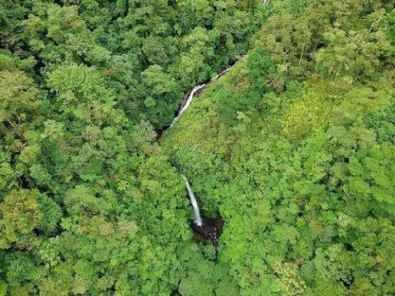 Descubre el Paraíso Escondido! Dos Fincas con 5 Cataratas en Cinchona, Alajuela