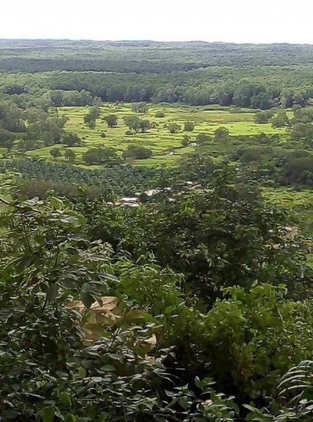 Descubre la Majestuosidad de Osa en Esta Finca Excepcional, venta de maravilloso terreno