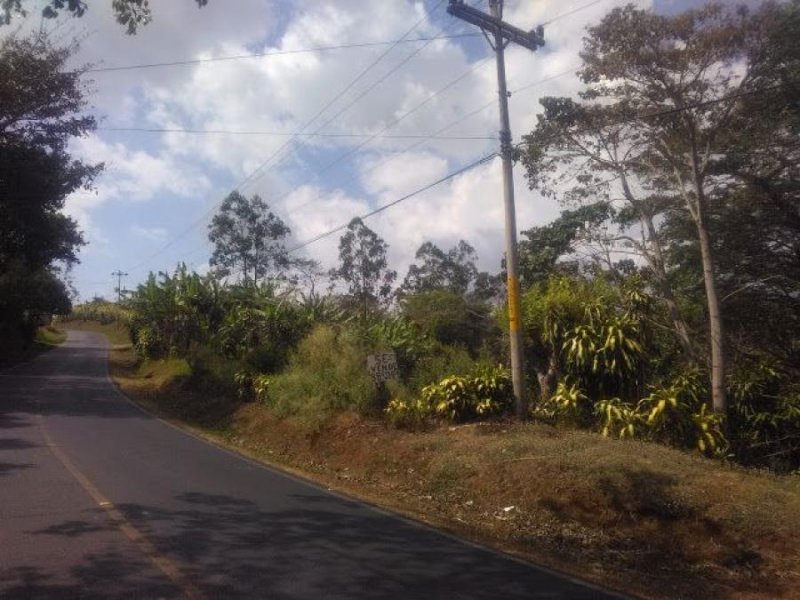 Terreno en Venta en San Antonio, Guarumal Naranjo, Alajuela