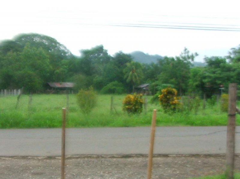 Foto Terreno en Venta en B° Caimital de Nicoya, Nicoya, Guanacaste - ¢ 41.000.000 - TEV1869 - BienesOnLine