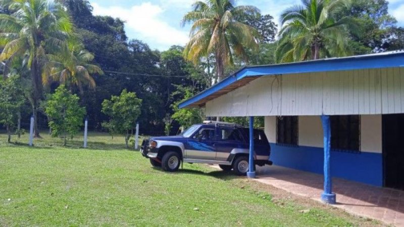 Finca en Venta en La Alegria Siquirres, Limón