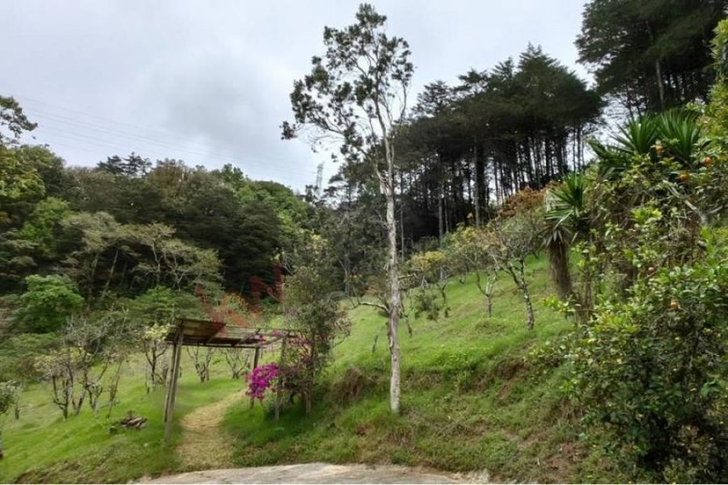 Finca en Venta en  Cartago, Cartago