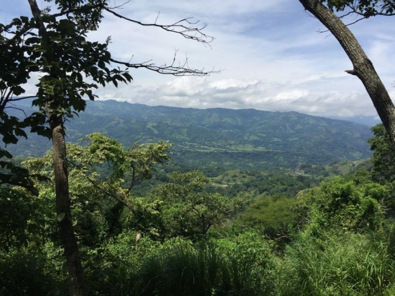 Finca en Venta en  Atenas, Alajuela