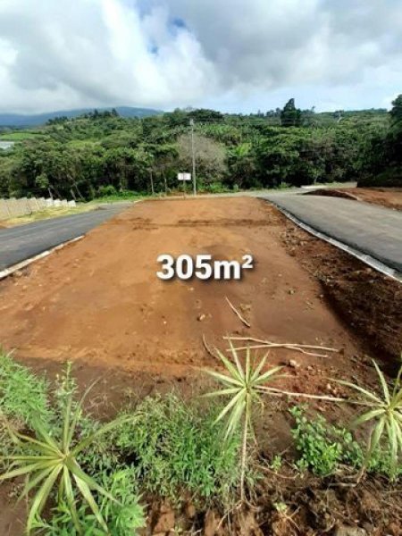 Foto Terreno en Venta en Poas, Poás, Alajuela - ¢ 20.000.000 - TEV47083 - BienesOnLine