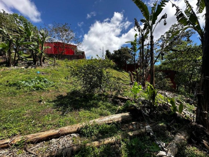 En Venta Lote en San Rafael, Montes de Oca. 