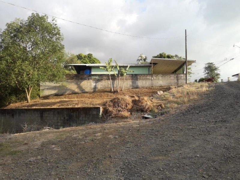 Foto Terreno en Venta en Atenas, Alajuela - ¢ 25.000.000 - TEV69313 - BienesOnLine