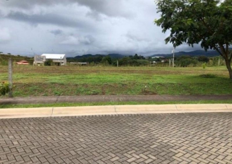 Terreno en Venta en Puente Piedra Grecia, Alajuela