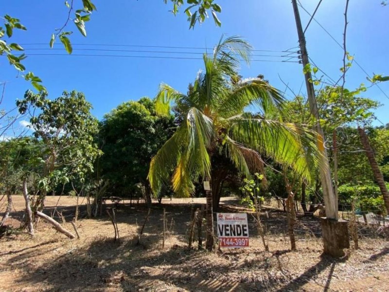 Foto Terreno en Venta en El Coyolar, Orotina, Alajuela - U$D 52.500 - TEV22207 - BienesOnLine