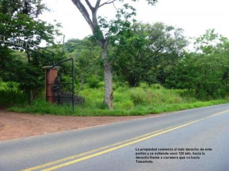 Foto Finca en Venta en Cruce Huacas 1 km hacia Tamarindo, Guanacaste, Cos, Tamarindo, Guanacaste - 6 hectareas - U$D 1.180.000 - FIV2617 - BienesOnLine