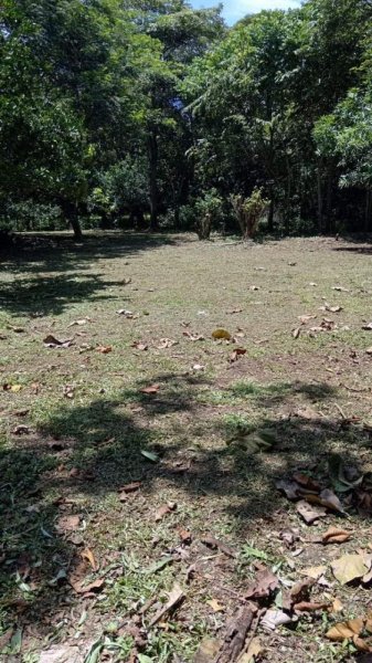 Finca en Venta en Vuelta Parrita, Puntarenas