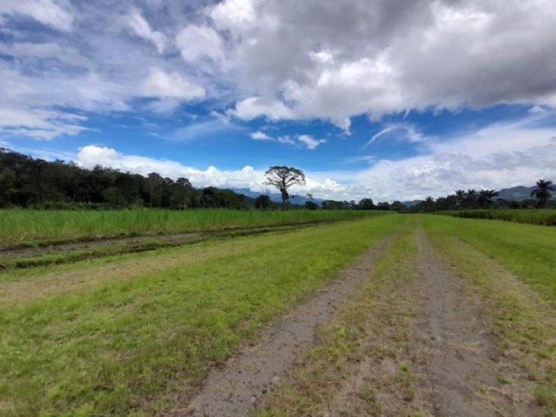 Finca en Venta en  Turrialba, Cartago