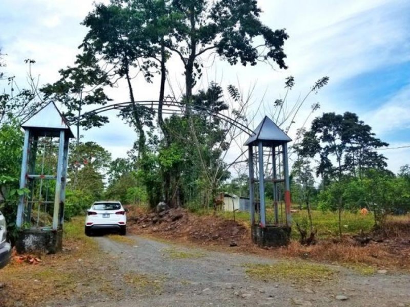 Foto Terreno en Venta en Guapiles, Pococí, Limón - U$D 148.000 - TEV38165 - BienesOnLine