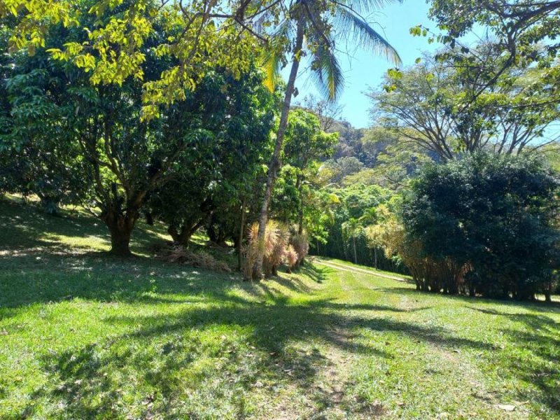 Finca en Venta en  Atenas, Alajuela