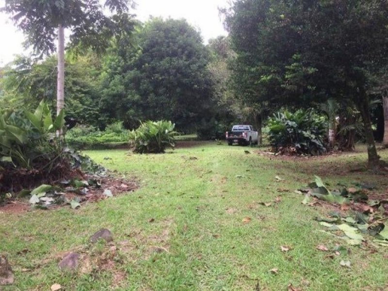 Foto Terreno en Venta en Pococí, Limón - ¢ 70.000.000 - TEV68664 - BienesOnLine