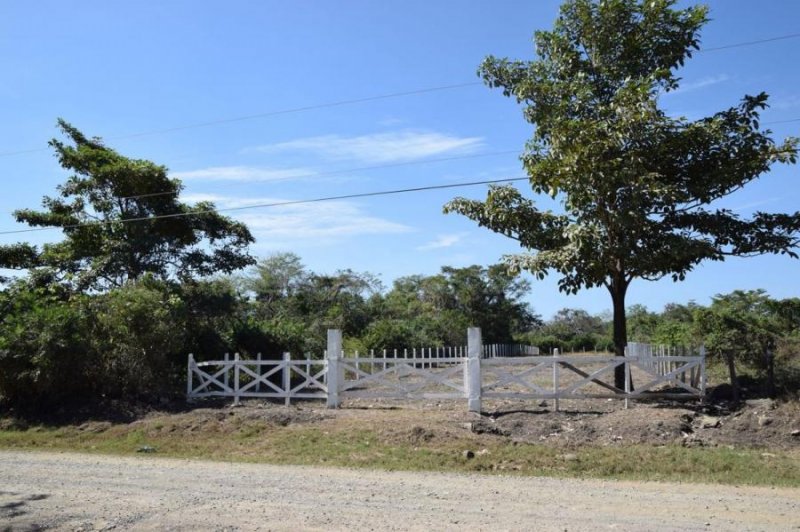 Foto Terreno en Venta en Puntarenas, Puntarenas - ¢ 35.000.000 - TEV92733 - BienesOnLine