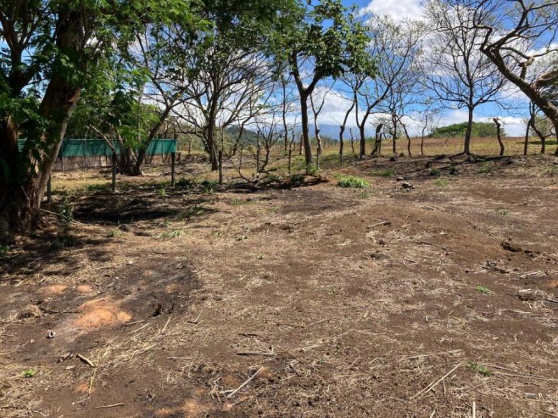 Foto Terreno en Venta en La Garita, Alajuela, Alajuela - ¢ 125.000.000 - TEV95588 - BienesOnLine