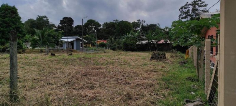 Foto Terreno en Venta en Guapiles, Pococí, Limón - U$D 28.000 - TEV39910 - BienesOnLine