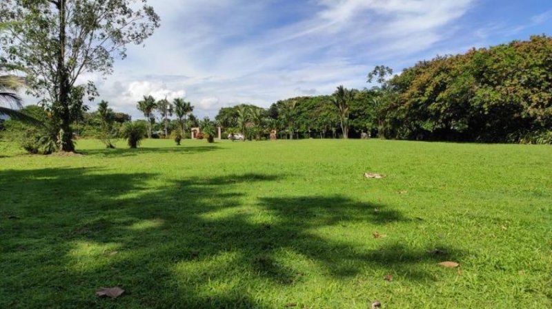 Foto Terreno en Venta en Guapiles, Pococí, Limón - U$D 104.000 - TEV39970 - BienesOnLine