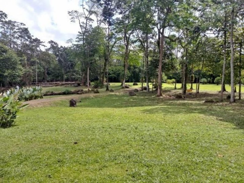 Foto Terreno en Venta en Guapiles, Pococí, Limón - U$D 138.000 - TEV39199 - BienesOnLine