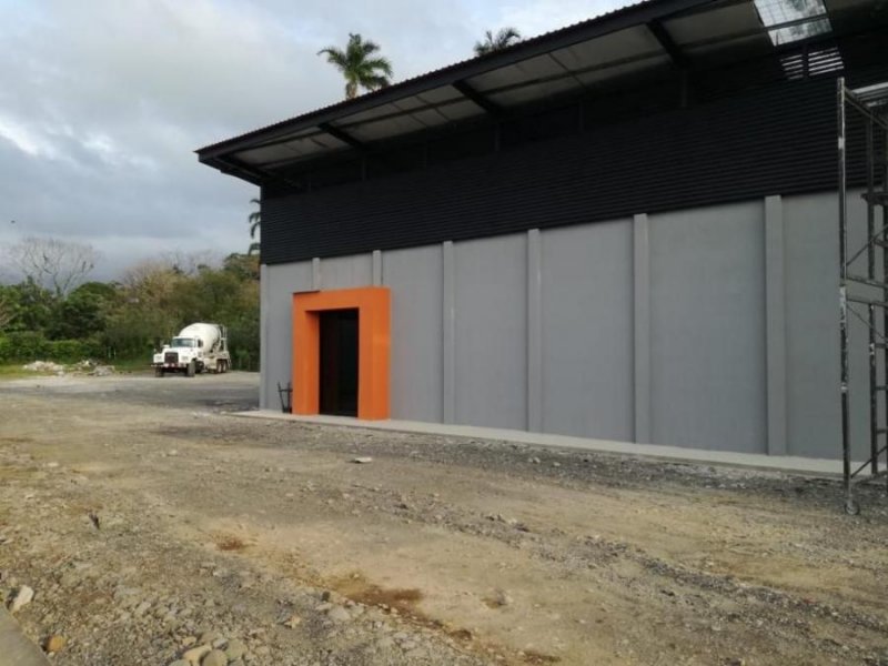 Excelente Bodega en SanRafael de la Colonia de Guapiles en Alquiler. CG-23-2 721