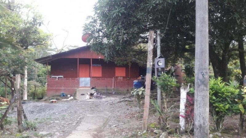 Foto Terreno en Venta en Pocora, Guácimo, Limón - U$D 150.000 - TEV52059 - BienesOnLine