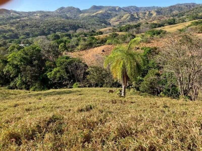 EXCELENTE FINCA EN SAN MATEO DE ALAJUELA. 