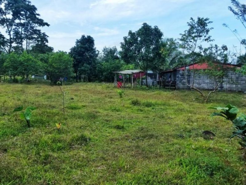 Foto Terreno en Venta en Guapiles centro, Pococí, Limón - U$D 139.000 - TEV57668 - BienesOnLine