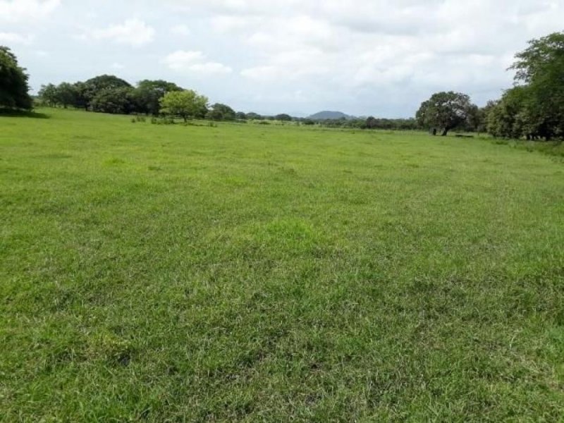 Terreno en Venta en Liberia Carrillo, Guanacaste