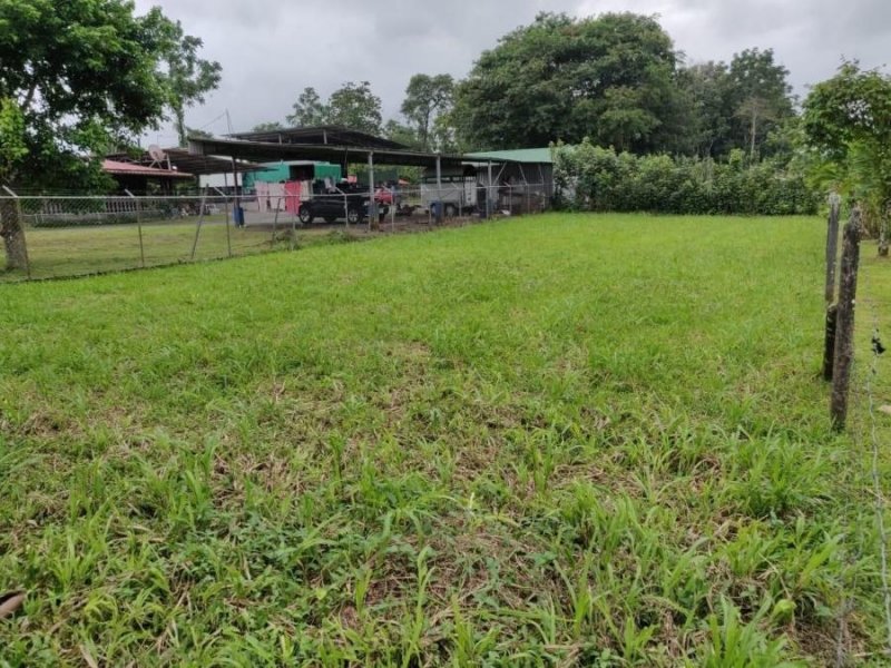 Foto Terreno en Venta en Guapiles, Pococí, Limón - U$D 21.000 - TEV46873 - BienesOnLine