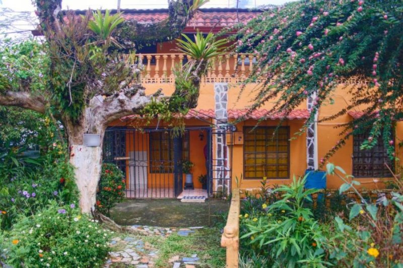 Foto Local en Venta en Guapiles, Pococí, Limón - U$D 90.000 - LOV55223 - BienesOnLine