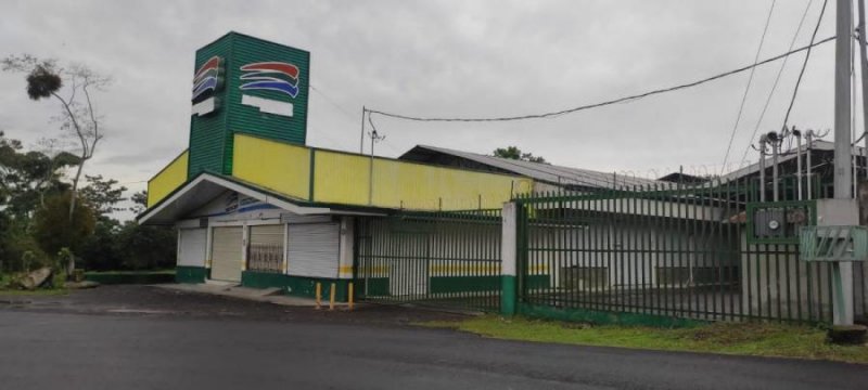 Foto Local en Alquiler en Guapiles Centro, Pococí, Limón - U$D 4.900 - LOA51022 - BienesOnLine