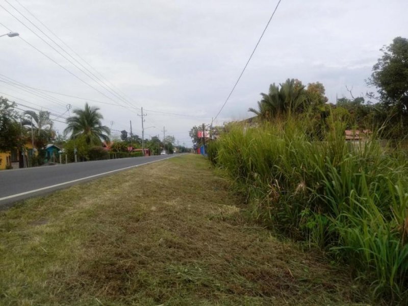 Foto Terreno en Venta en Guapiles, Pococí, Limón - U$D 10.500 - TEV43362 - BienesOnLine