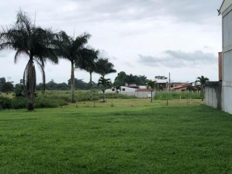 Foto Terreno en Venta en Guapiles Centro, Pococí, Limón - U$D 135.000 - TEV47461 - BienesOnLine