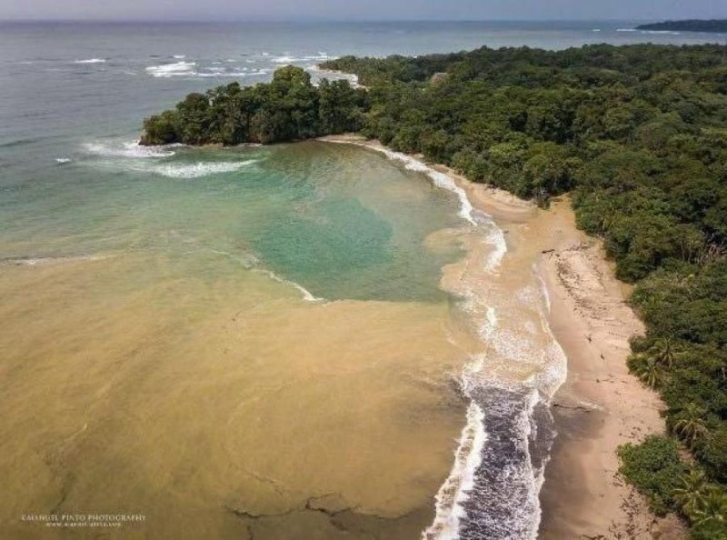 Casa en Alquiler en  Limón, Limón