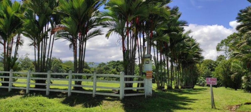 Foto Terreno en Venta en Pococí, Limón - ¢ 60.000.000 - TEV68660 - BienesOnLine