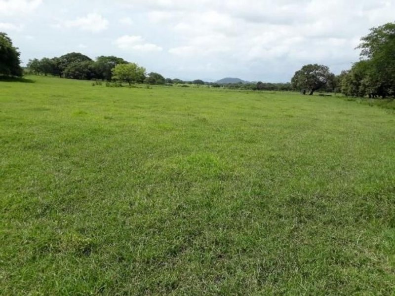 Terreno en Venta en  Carrillo, Guanacaste