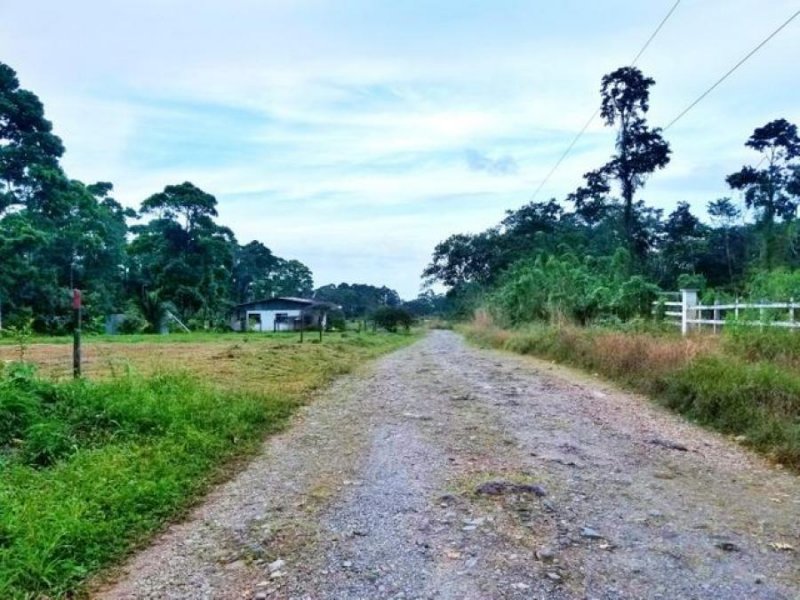 Foto Terreno en Venta en Guapiles, Pococí, Limón - U$D 27.800 - TEV72642 - BienesOnLine